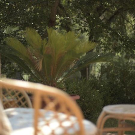 B&B Dei Fiori Praia a Mare Exterior photo