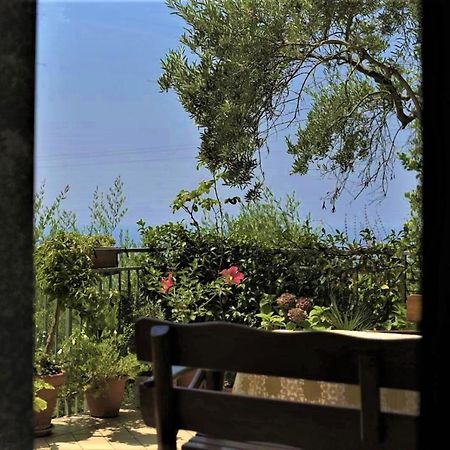 B&B Dei Fiori Praia a Mare Exterior photo