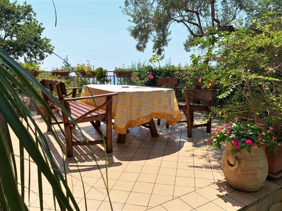 B&B Dei Fiori Praia a Mare Exterior photo