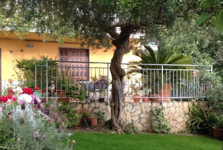 B&B Dei Fiori Praia a Mare Exterior photo